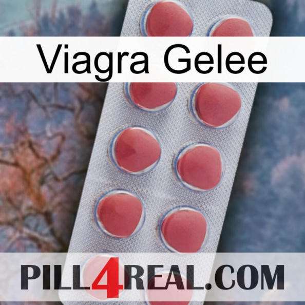 Viagra Jelly 18